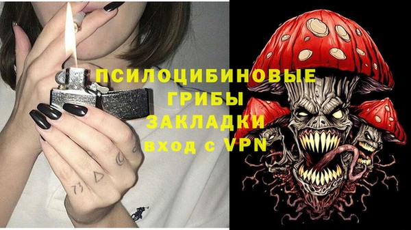 прущая мука Алзамай
