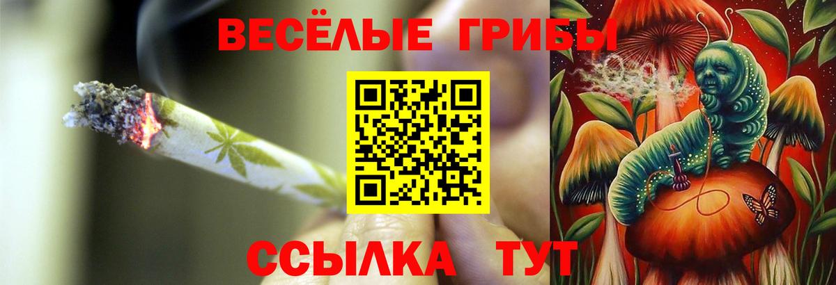 Галлюциногенные грибы Psilocybe  Вход с VPN  Изобильный 