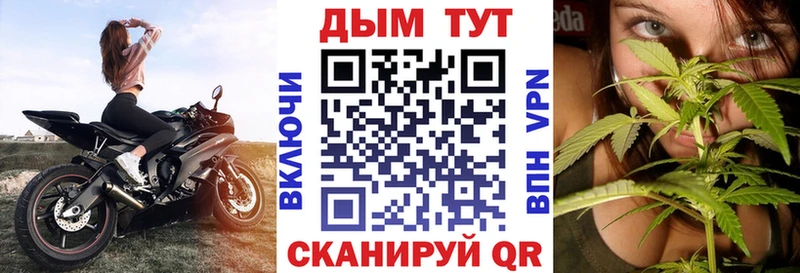 где можно купить наркотик  Изобильный  Шишки марихуана SATIVA & INDICA 