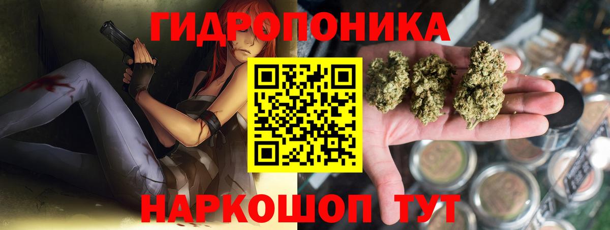 Бошки Шишки сатива Изобильный
